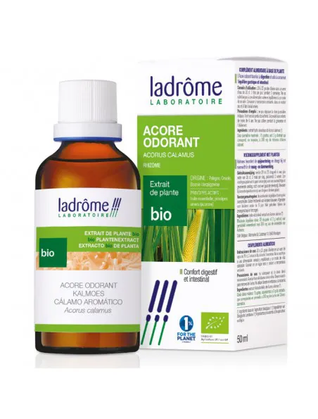 Calamo aromatico extracto